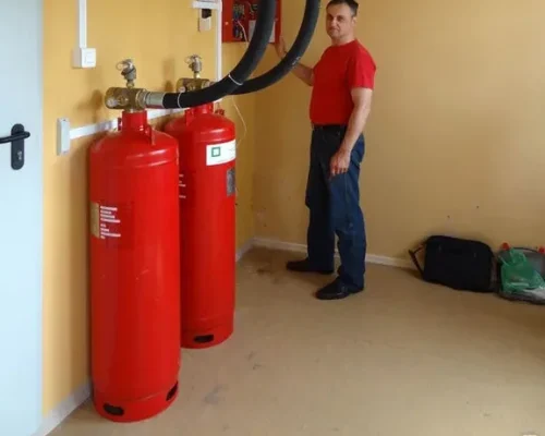 professional fire supression system